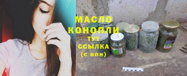 ешки Гусев