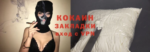гидропоника Гусиноозёрск