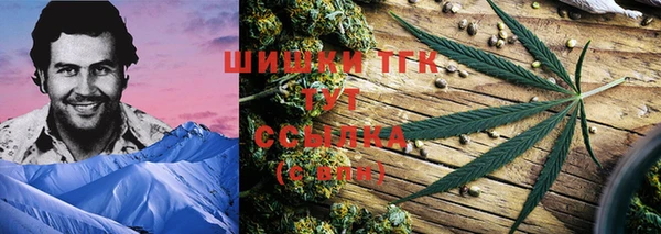 гидропоника Гусиноозёрск