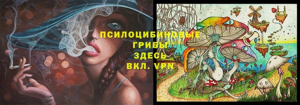 ешки Гусев