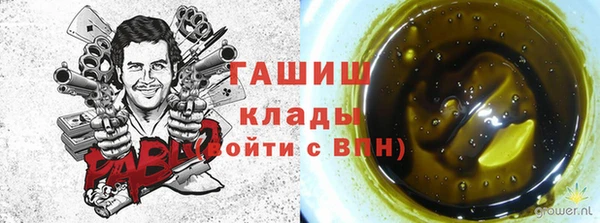 молекула духа Вязники
