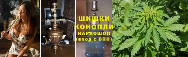 прущие крисы Вязьма