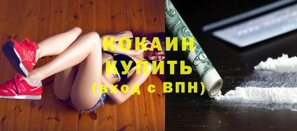 ешки Гусев