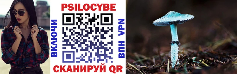 Псилоцибиновые грибы Psilocybe  Купить где  Сердобск 