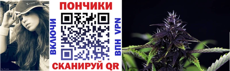Бошки Шишки сатива  Купить закладки  Сердобск 